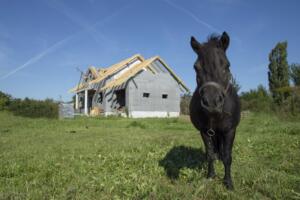 izodom ekologia konik kolo domu z klockow