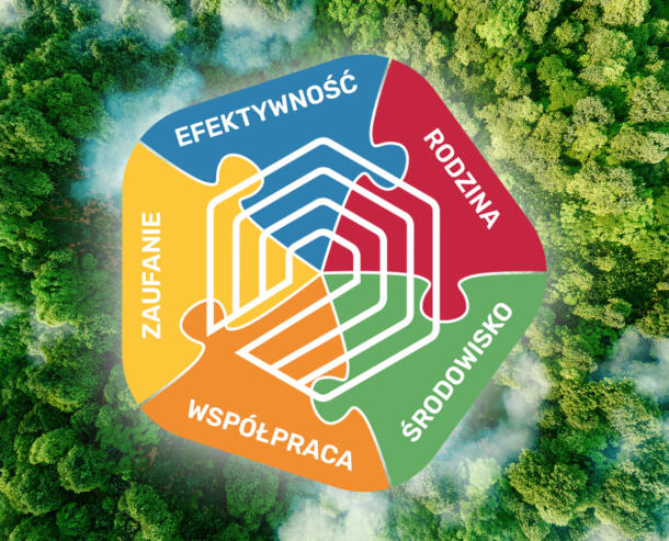 izodom wartości w firmie